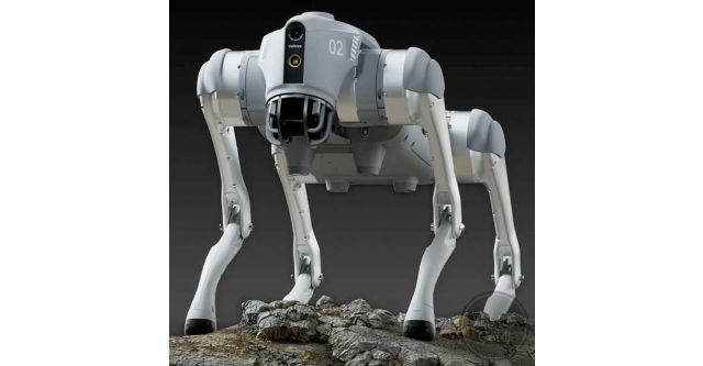 Unitree GO2 Robot Dog - Alle Modelle auf einen Blick!
