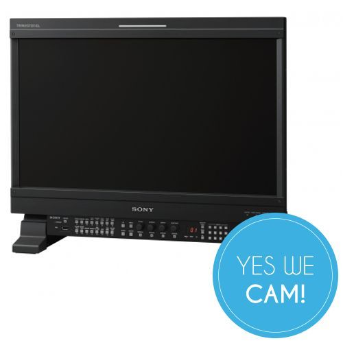 SONY BVM E251 24 5 Zoll OLED Referenzmonitor Gunstiger Preis TONEART Shop