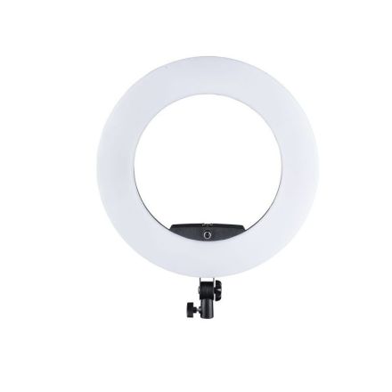 Walimex Pro LED Ringleuchte Medow 960 Pro Bi Color