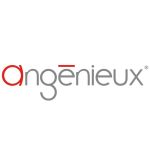 Angenieux Hartschalenkoffer für EZ-1 und EZ-2 Objektiv wasserfest