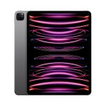 Apple iPad Pro 12.9 Wi-Fi + Cellular 128 GB spacegrau - 6. Gen. TrueTone