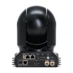BirdDog P400 Black Schnelle Lieferung