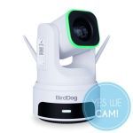 BirdDog X4 Ultra White  Livestream