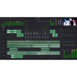 Blackmagic Design DaVinci Resolve Studio - Activation Code Fairlight