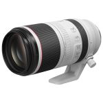 Canon RF 100-500mm F4.5-7.1L IS USM Lens