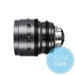 DZOFILM Pavo 2x Anamorphic 32mm T2.1 für PL/EF Mount S35 metric - Blue Coating kaufen