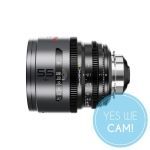 DZOFILM Pavo 2x Anamorphic 55mm T2.1 für PL/EF Mount S35 metric - Neutral Coating kaufen