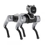 MagicDog PRO Gangart-Anpassung