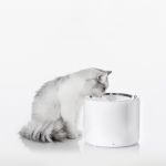 PETKIT Trinkbrunnen Eversweet 3 Pro mit mehrschichtigem Filtersystem