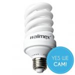 Walimex Pro Daylight-Set 600/600 kaufen