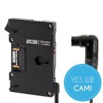 Wooden Camera Pro Gold-Mount (4pin XLR Right Angle) Kaufen