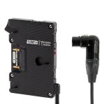 Wooden Camera Pro Gold-Mount (4pin XLR Right Angle) Akkuplatte