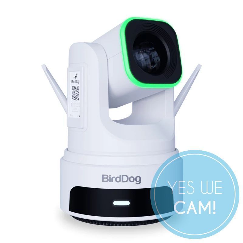 BirdDog X4 Ultra White  Livestream