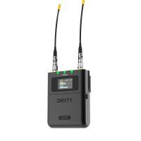 THEOS D2RX Dual-Channel Wireless kaufen