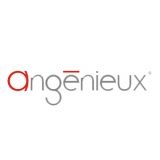 Angenieux Angenieux
