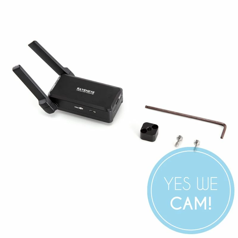Dji raveneye price discount